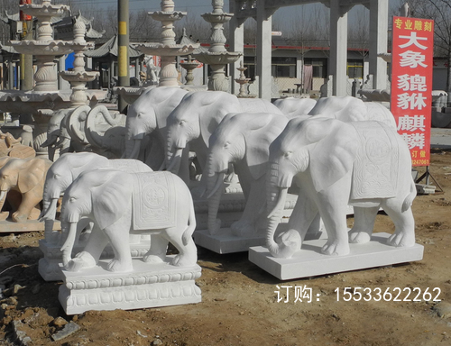 DSCN9479 .jpg