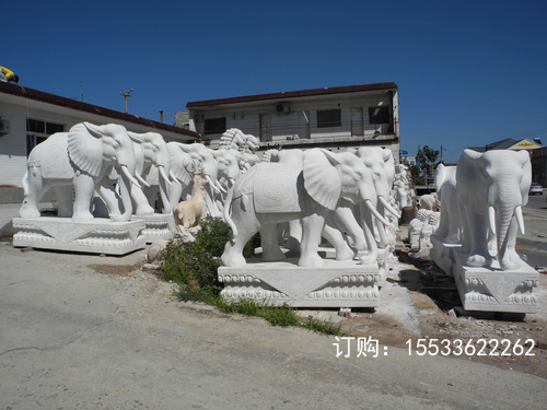 DSCN9496.JPG