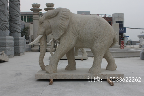 IMG_4181.JPG