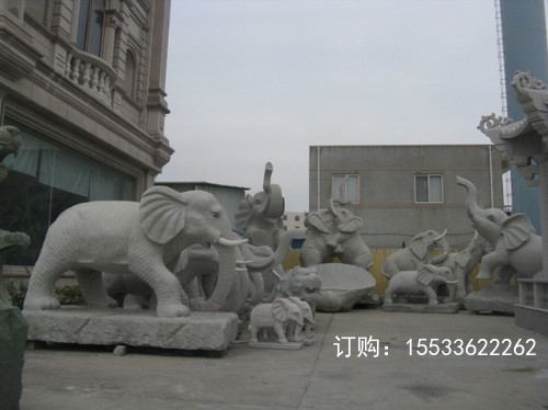 IMG_4575.jpg