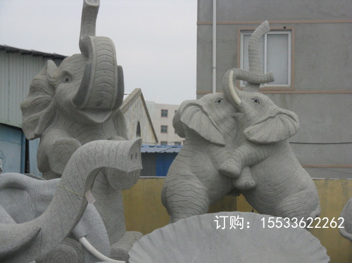 IMG_4576.jpg