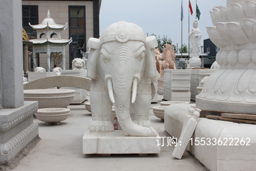 IMG_4645.JPG