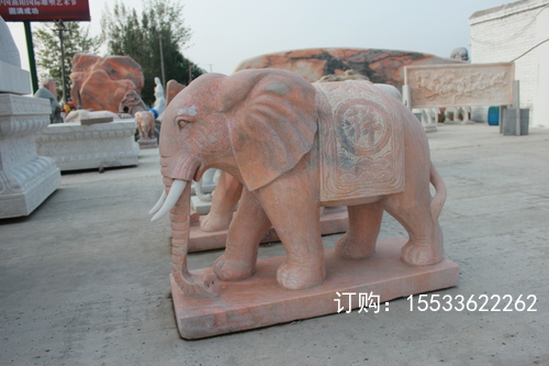 IMG_5784.JPG