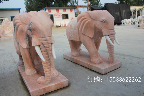 IMG_5785.JPG