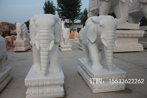 IMG_5787.JPG