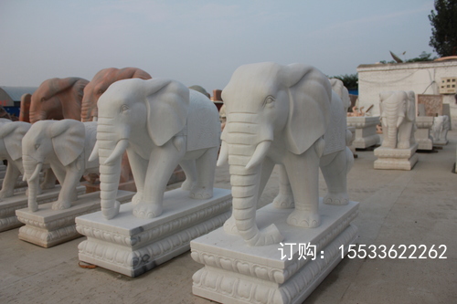 IMG_5788.JPG