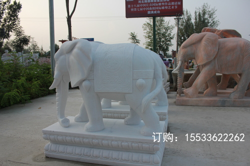 IMG_5789.JPG