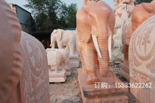 IMG_5797.JPG