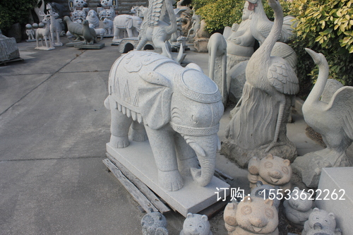 IMG_6036.JPG