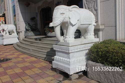 IMG_6144.JPG