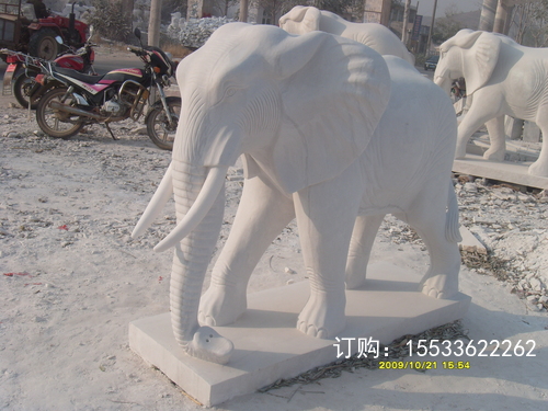 S73R1825.JPG