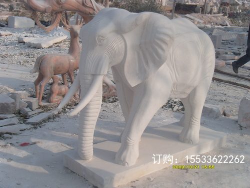 S73R1827.JPG