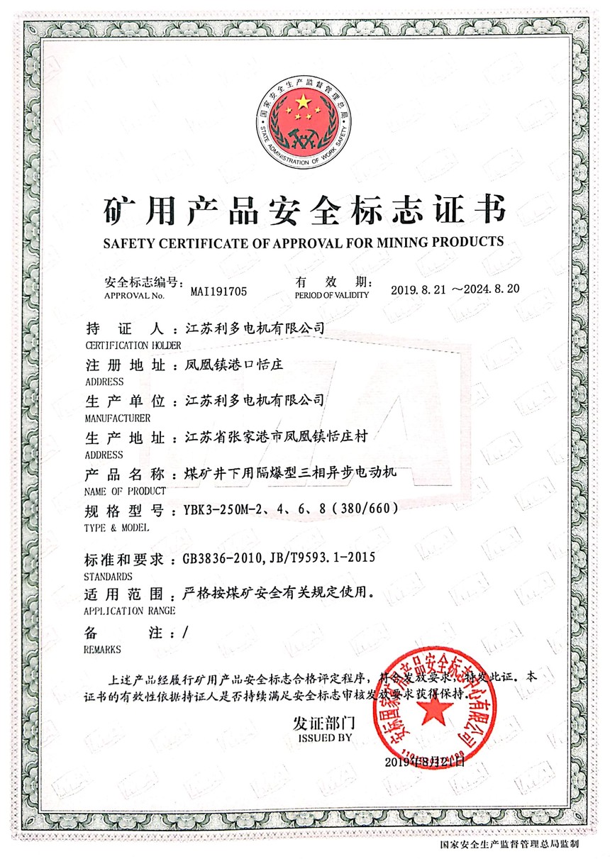 YBK3-250M-2468380660.jpg