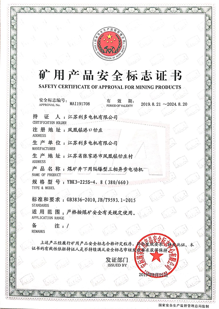 YBK3-225S-48380660.jpg