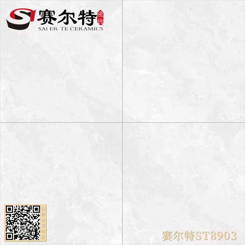 ST8903.jpg