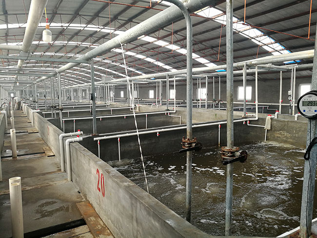 水产项目_中农环境工程设计