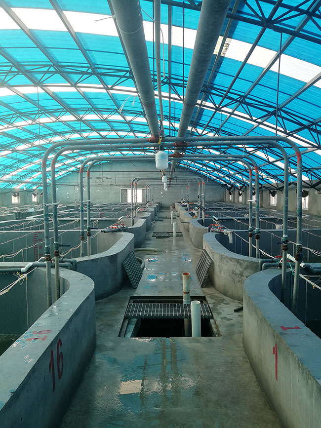 水产项目_中农环境工程设计