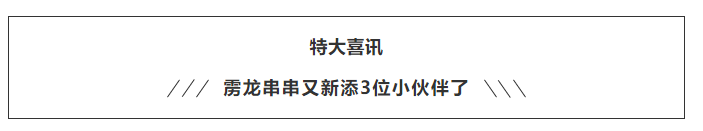 525e569bbb1c1df89c08515b01e2f6a.png