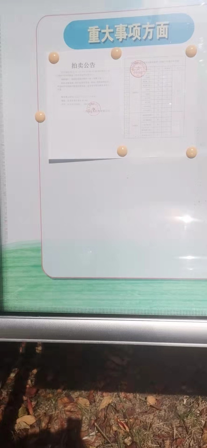 1637552130277129.jpg