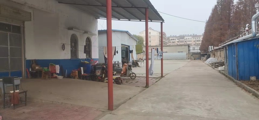1638170361987347.jpg 北院苗圃.jpg