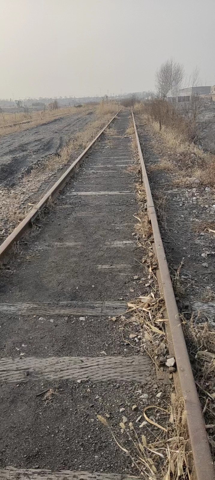 1672383631714523.jpg