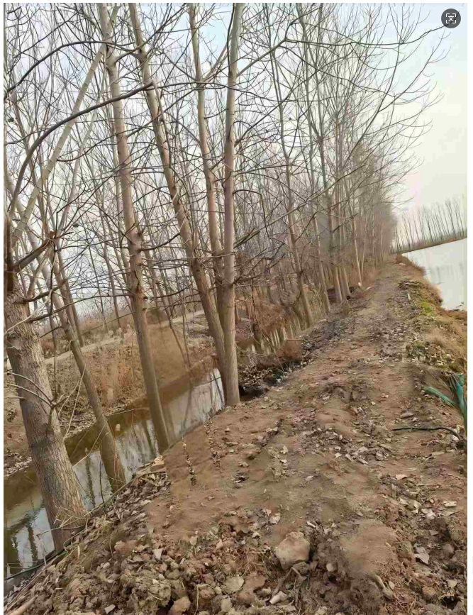 1767064065874308.png 695ec7b3-feb3-449c-ae61-9a13cc18322b.png