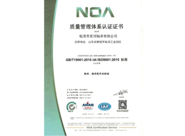 某某网络科技有限公司