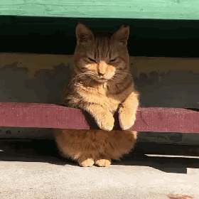 ΢ͼƬ_20211028081802.gif