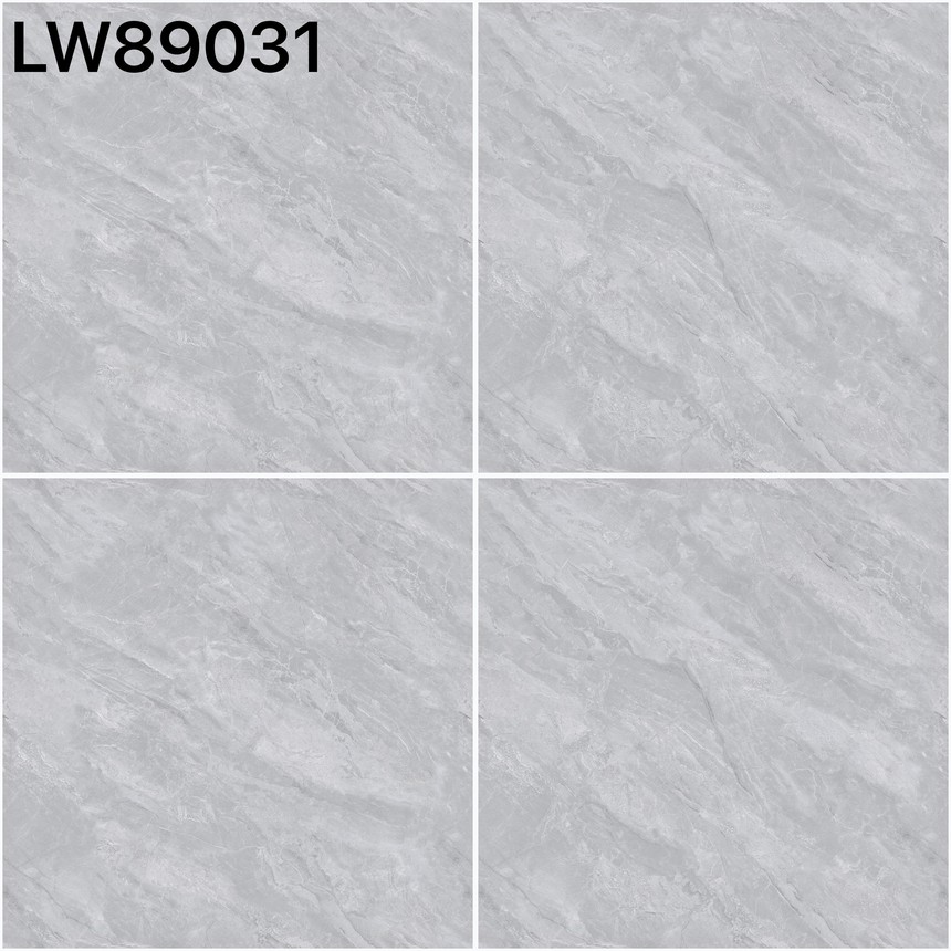 LW89031.jpg