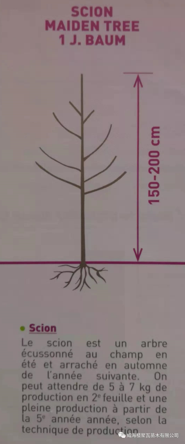 1578635739893386.png