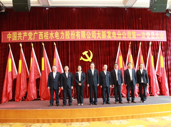 4.新当选的大新发电分公司党委会、纪委会委员合影.JPG