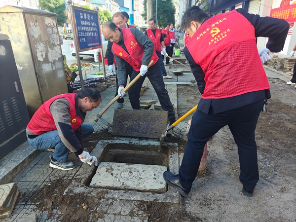 1766539043969617.jpg 2.大新发电分公司开展党员志愿活动.jpg