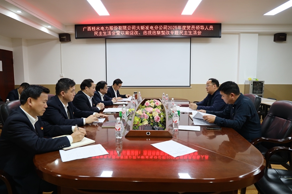 1772091237887362.jpg 2.大新发电分公司党委召开2025年度党员领导人员民主生活会暨以案促改、巡视巡察整改 专题民主生活会.JPG