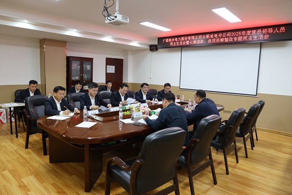 1772091249856548.jpg 3.大新发电分公司党委召开2025年度党员领导人员民主生活会暨以案促改、巡视巡察整改 专题民主生活会.JPG