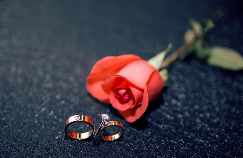 ͼ_500286904_banner.jpg