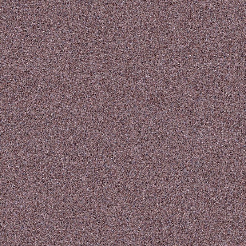 XS12605