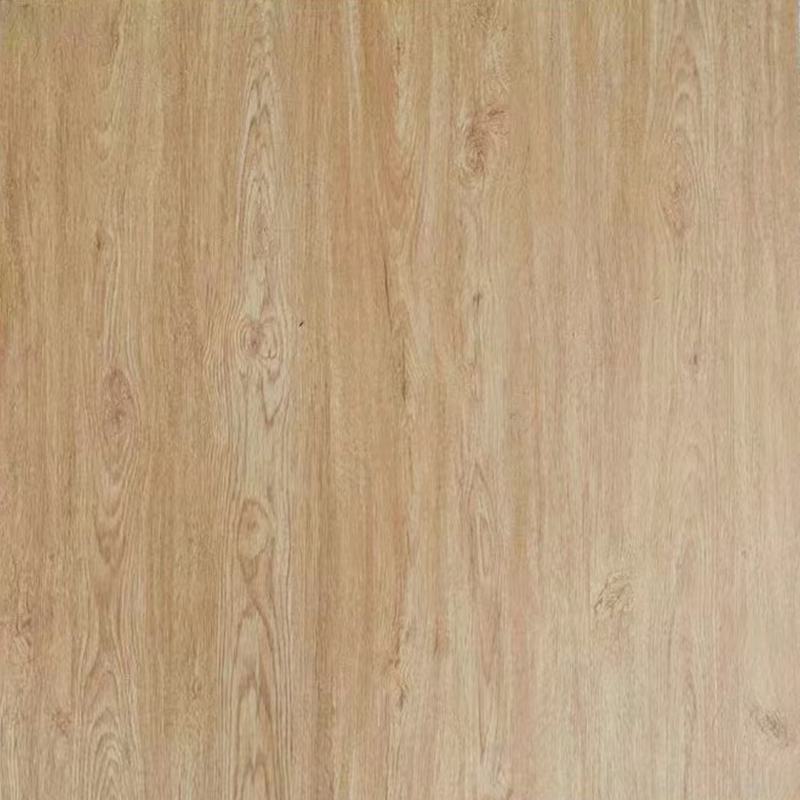 6005A