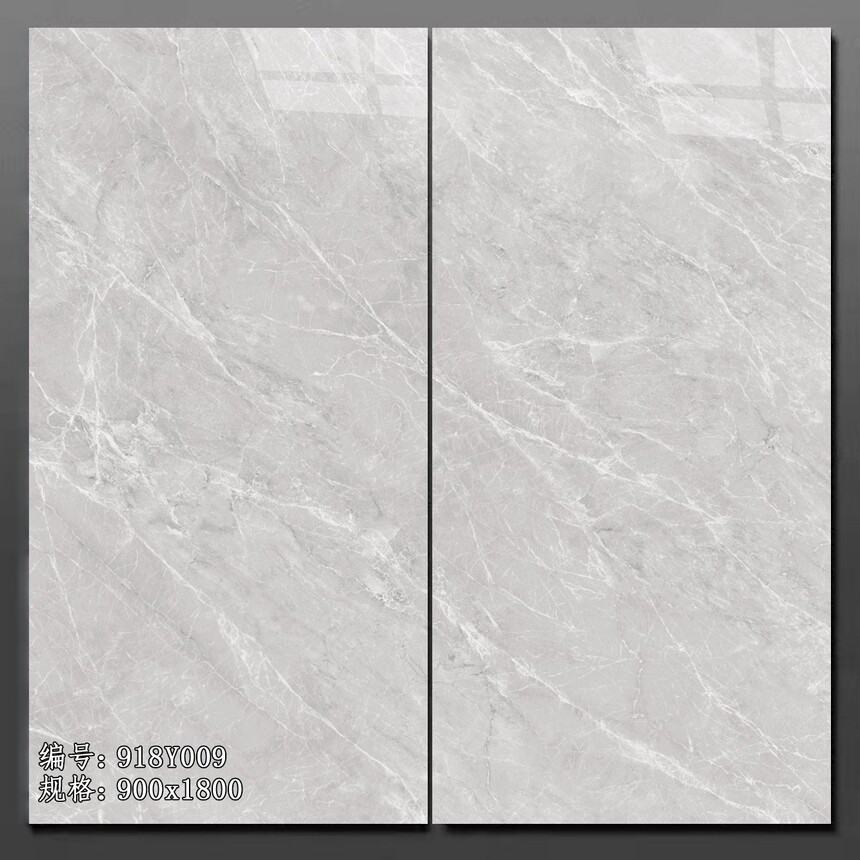 918Y009