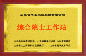 综合院士工作站