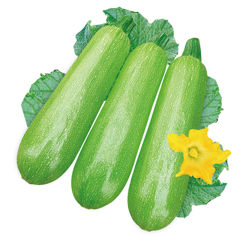7042