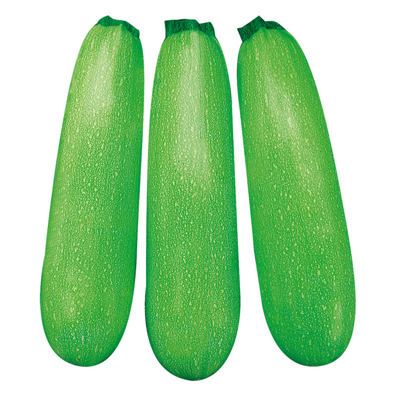 3027