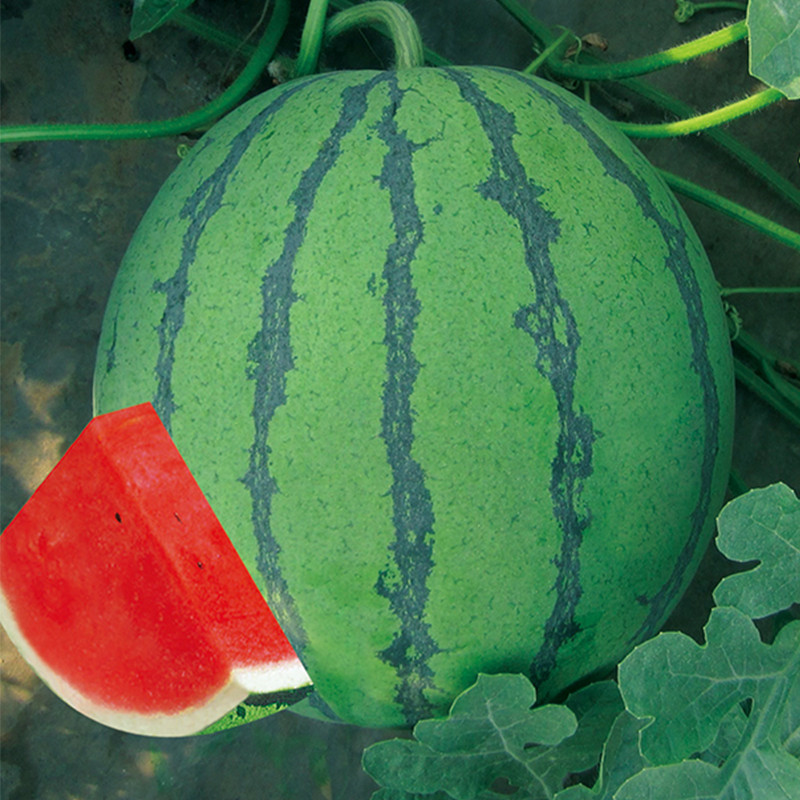 1217