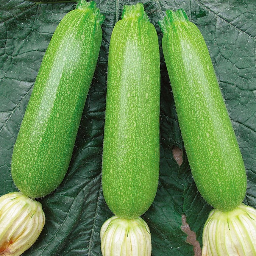 7045
