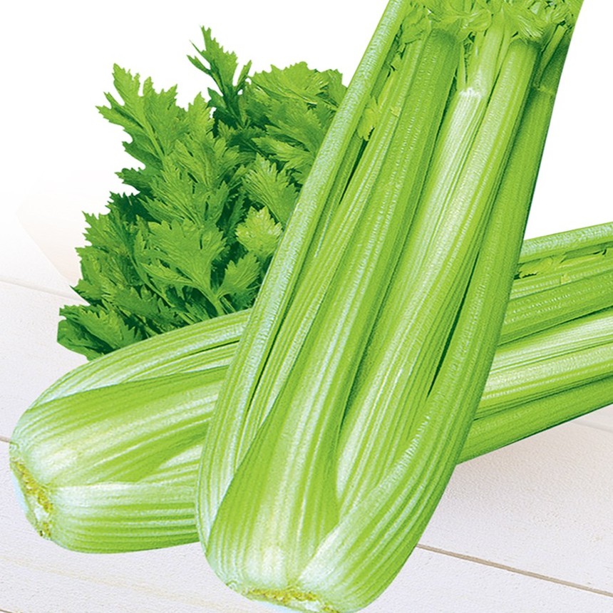 ʹ