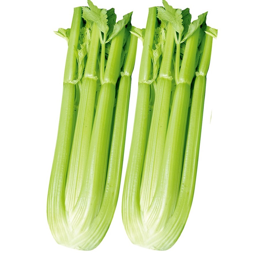 Ʒʹ