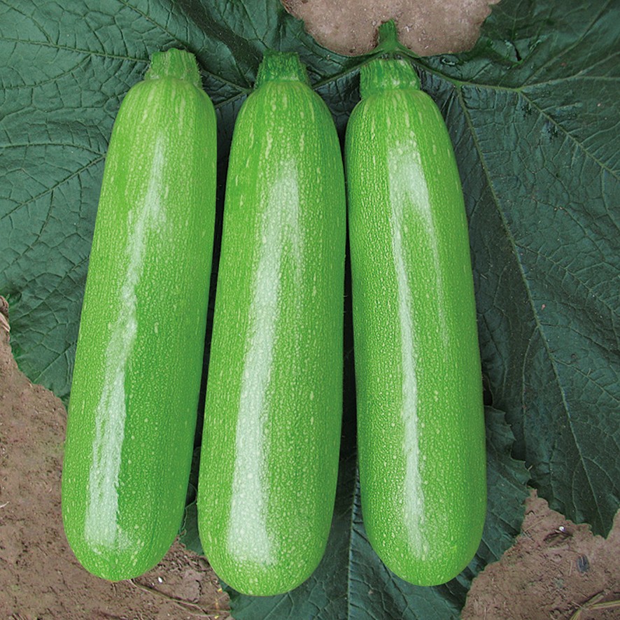 8108.jpg