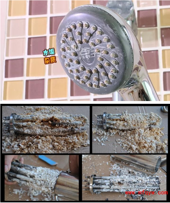 1764991490882706.png image.png