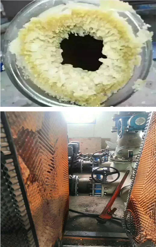 1764991512109570.png image.png