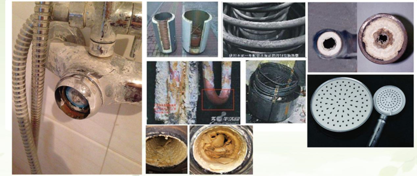 1764992095516495.png image.png