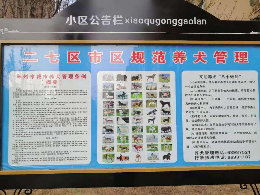 ͼƬ2.jpg